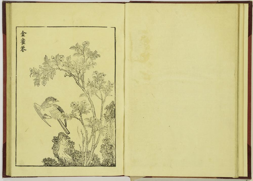 图片[10]-illustrated book; print BM-1915-0823-0.242-China Archive